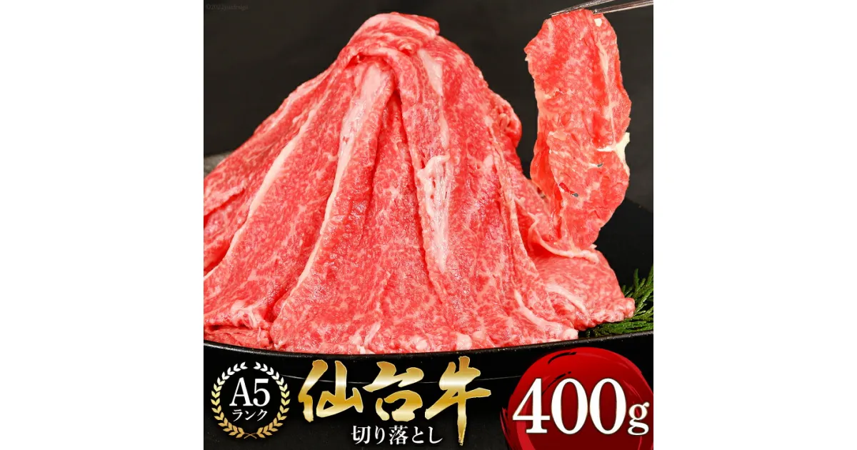 【ふるさと納税】「仙台牛（A-5ランク）」切り落とし 400g [気仙沼市物産振興協会 宮城県 気仙沼市 20563497] レビューキャンペーン 感想