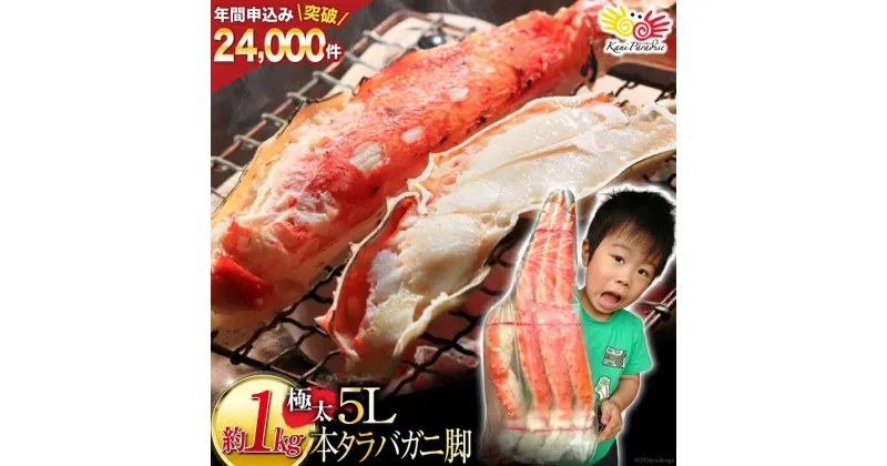 【ふるさと納税】本 タラバガニ 脚 ボイル済 約1kg 極太5Lサイズ [カネダイ 宮城県 気仙沼市 20564323] カニ かに 蟹 たらばがに たらば蟹 タラバ蟹 たらば タラバ ボイル 感想