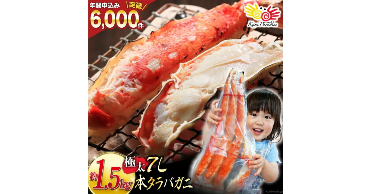 【ふるさと納税】本 タラバガニ 脚 ボイル済 約1.5kg 極太7Lサイズ [カネダイ 宮城県 気仙沼市 20564326] カニ かに 蟹 たらばがに たらば蟹 タラバ蟹 たらば タラバ ボイル 感想