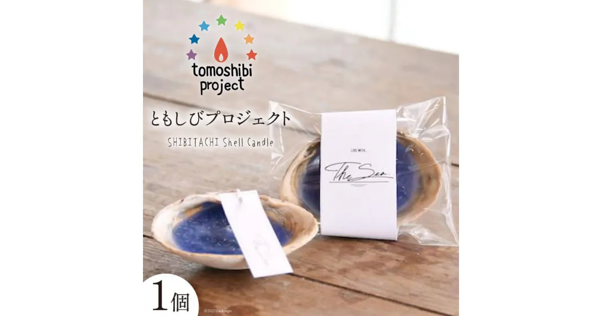 【ふるさと納税】気仙沼の海をイメージしたキャンドル SHIBITACHI Shell Candle 1個 [Nr.12（ともしびプロジェクト） 宮城県 気仙沼市 20563588] キャンドル 可愛い かわいい カワイイ