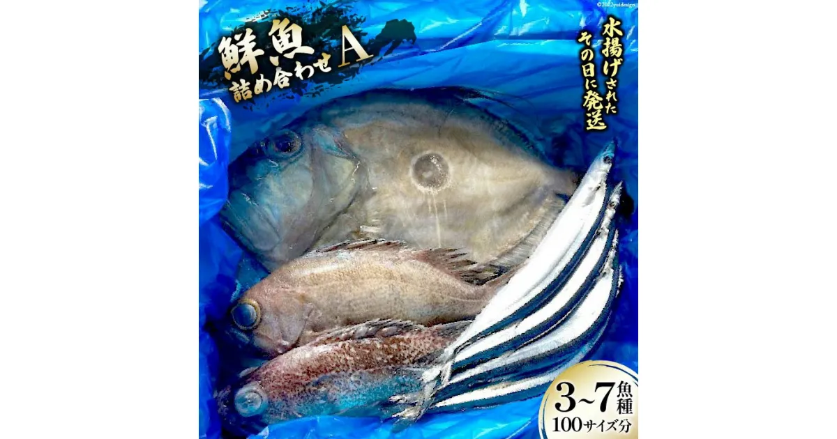 【ふるさと納税】鮮魚 詰め合わせ A 3〜7魚種 100サイズ分 [さんりくみらい 宮城県 気仙沼市 20563531] 産地直送 旬 魚介 魚 さかな 感想