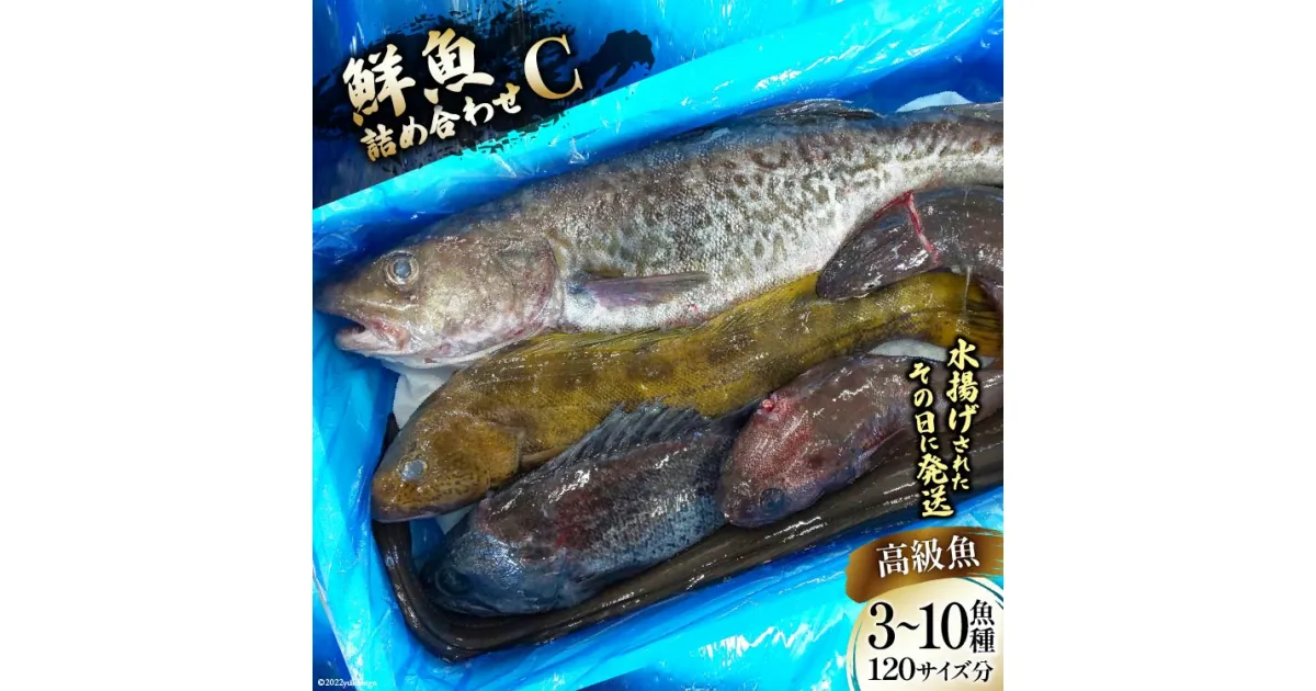 【ふるさと納税】鮮魚 詰め合わせ C 3〜10高級魚種 120サイズ分 [さんりくみらい 宮城県 気仙沼市 20563533] 産地直送 旬 魚介 魚 さかな 感想