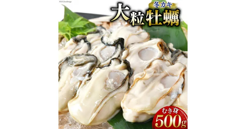 【ふるさと納税】【期間限定発送】ヤマヨ水産の牡蠣 生食用 むき身 500g 《2月前半～出荷》 [気仙沼市物産振興協会 宮城県 気仙沼市 20564220] 魚介類 海鮮 牡蠣 冬 かき 冬牡蠣 冬かき 期間限定 冷蔵 生食 生牡蠣