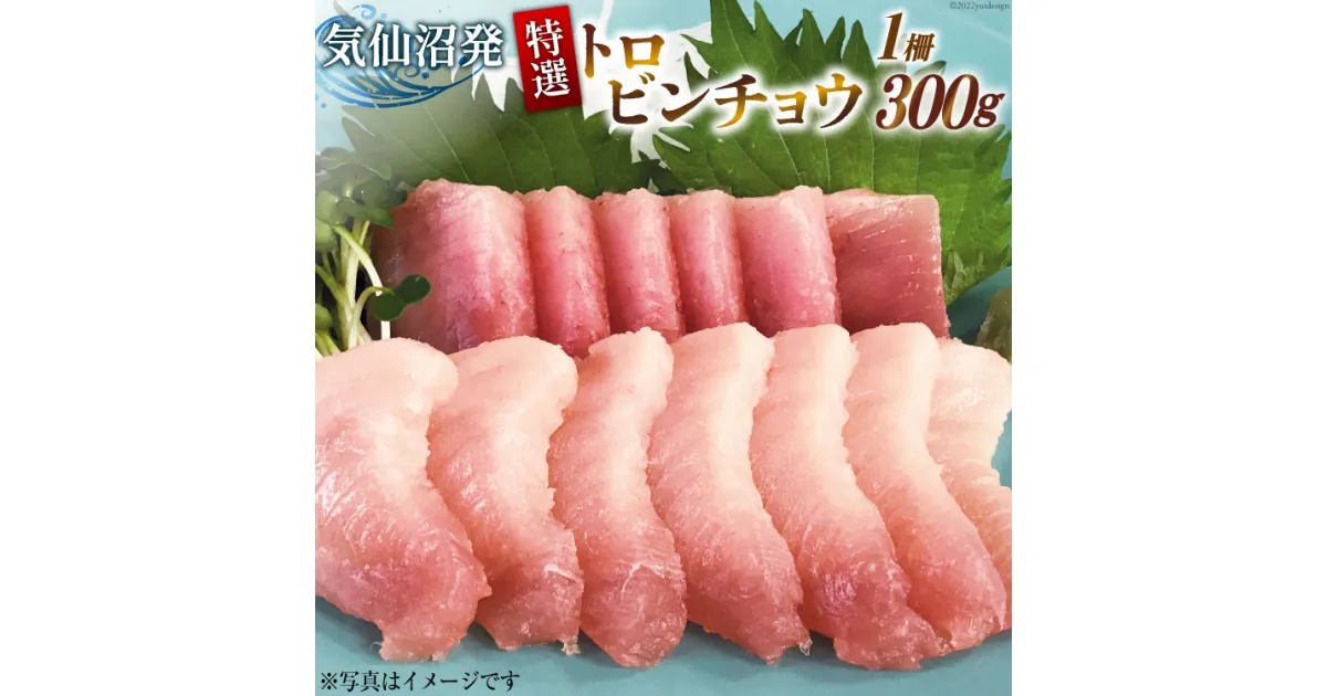 【ふるさと納税】特撰 トロビンチョウ 300g [川印 村田漁業 宮城県 気仙沼市 20563396] 魚介類 魚貝 魚介 鮪 まぐろ マグロ トロ びんちょう ビンチョウ