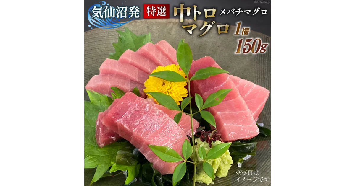 【ふるさと納税】特撰 中トロマグロ（メバチマグロ）1柵 150g [川印　村田漁業 宮城県 気仙沼市 20563398] 魚介 魚 海鮮 まぐろ 鮪 マグロ メバチマグロ トロ とろ 中トロ 刺身 感想