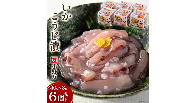 【ふるさと納税】いかこうじ漬 40g×3P 6個セット [小野万 宮城県 気仙沼市 20564599] 魚 魚介類 いか イカ 冷蔵 酒の肴 おつまみ ご飯のお供 珍味 麹漬け こうじ漬け