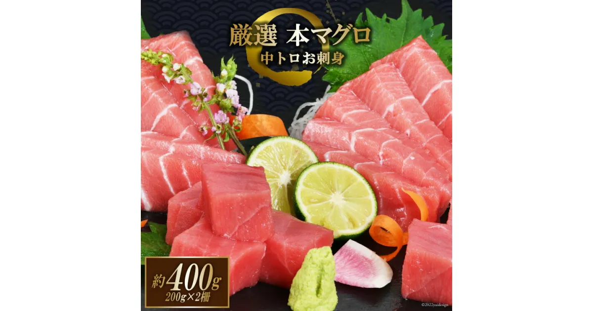 【ふるさと納税】まぐろ 本マグロ背トロ 約400g(200g×2柵) [豊洋海産流通 宮城県 気仙沼市 20563371] 中トロ 刺身 冷凍 感想