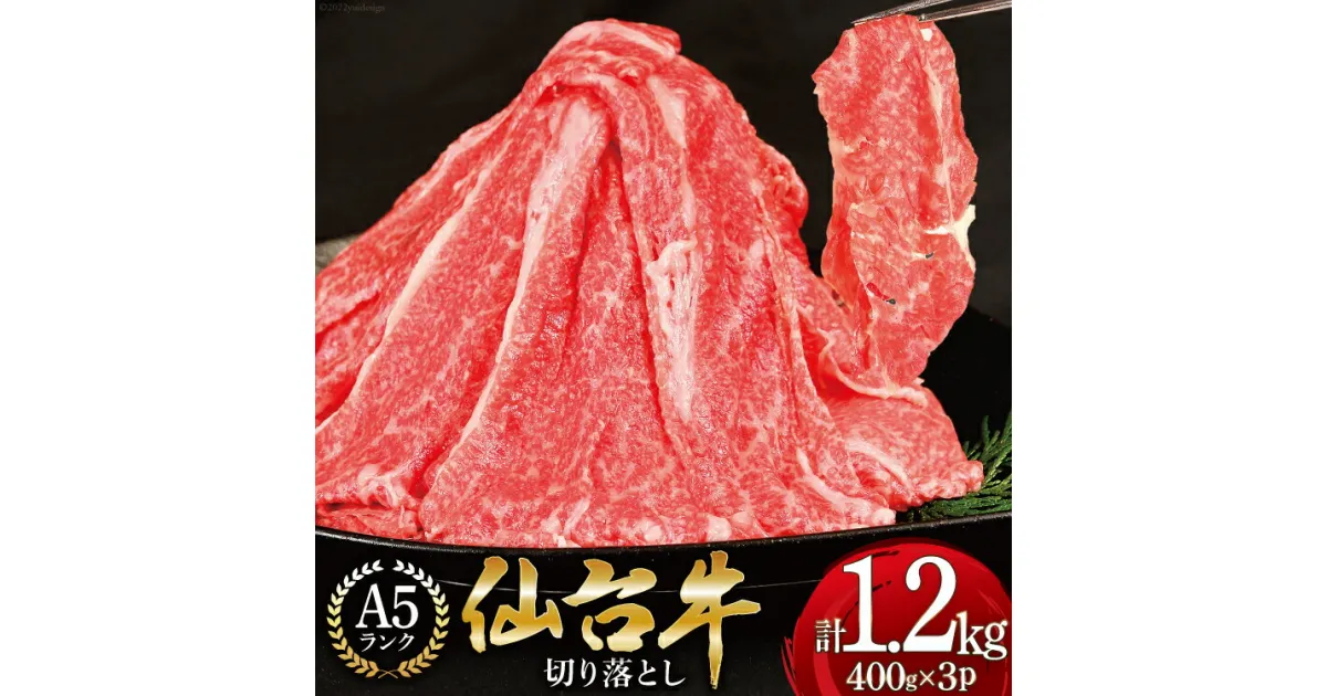 【ふるさと納税】肉 仙台牛 A-5ランク 切り落とし(400g×3p)計1,2kg [気仙沼市物産振興協会 宮城県 気仙沼市 20563768] 小分け 牛丼 すき焼き 精肉 感想