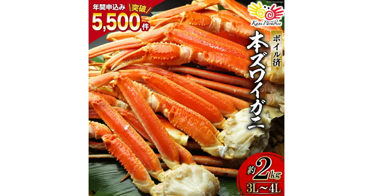 【ふるさと納税】ボイル済み 本ずわいがに 脚 3L〜4L 総重量2kg [カネダイ 宮城県 気仙沼市 20564339] ズワイガニ ずわい蟹 ズワイ蟹 ずわい ズワイ 蟹 カニ カニ脚 蟹脚 足 ボイル 感想