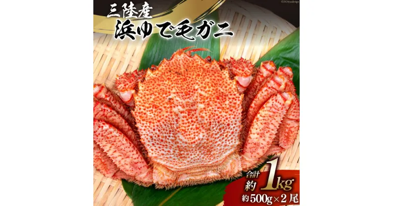 【ふるさと納税】【期間限定発送】かに 三陸産浜ゆで毛ガニ 約500g×2 計1kg [村東商店 宮城県 気仙沼市 20564161] 魚介類 海鮮 三陸産 三陸 カニ 蟹 毛ガニ 毛がに 毛蟹 ボイル 浜茹で 浜ゆで ごちそう 冷蔵