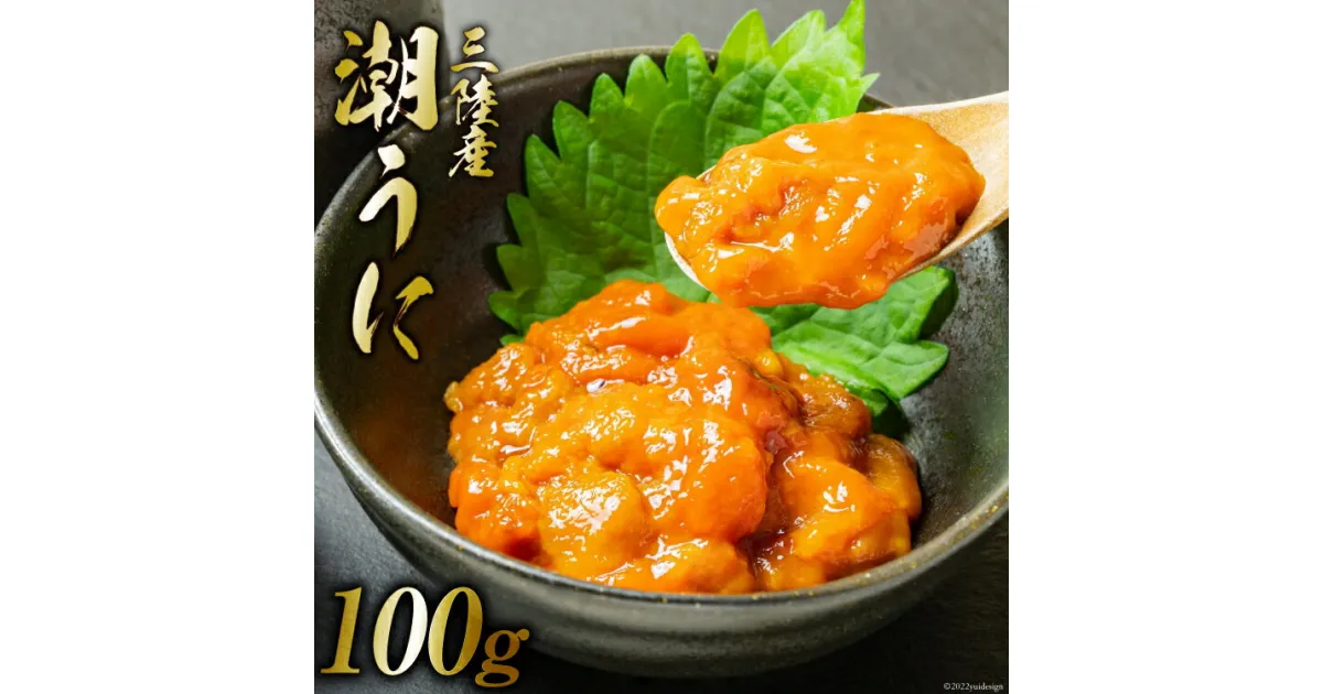 【ふるさと納税】三陸産 潮うに 100g [大菊 宮城県 気仙沼市 20563727] ウニ 雲丹 うに ミョウバン不使用 塩うに 塩ウニ 粒うに キタムラサキウニ 冷凍 パック 塩分控えめ 感想