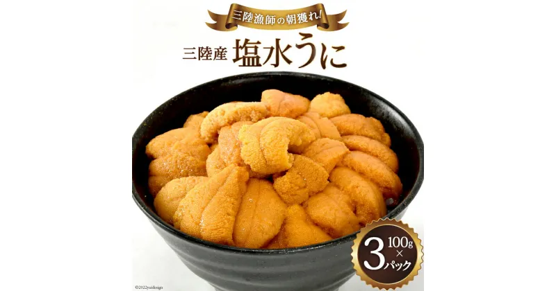 【ふるさと納税】【期間限定発送】三陸産塩水うに 100g×3パック [村東商店 宮城県 気仙沼市 20564260] 海鮮 三陸 うに ウニ 塩水ウニ 雲丹 三陸産 冷蔵 期間限定 数量限定