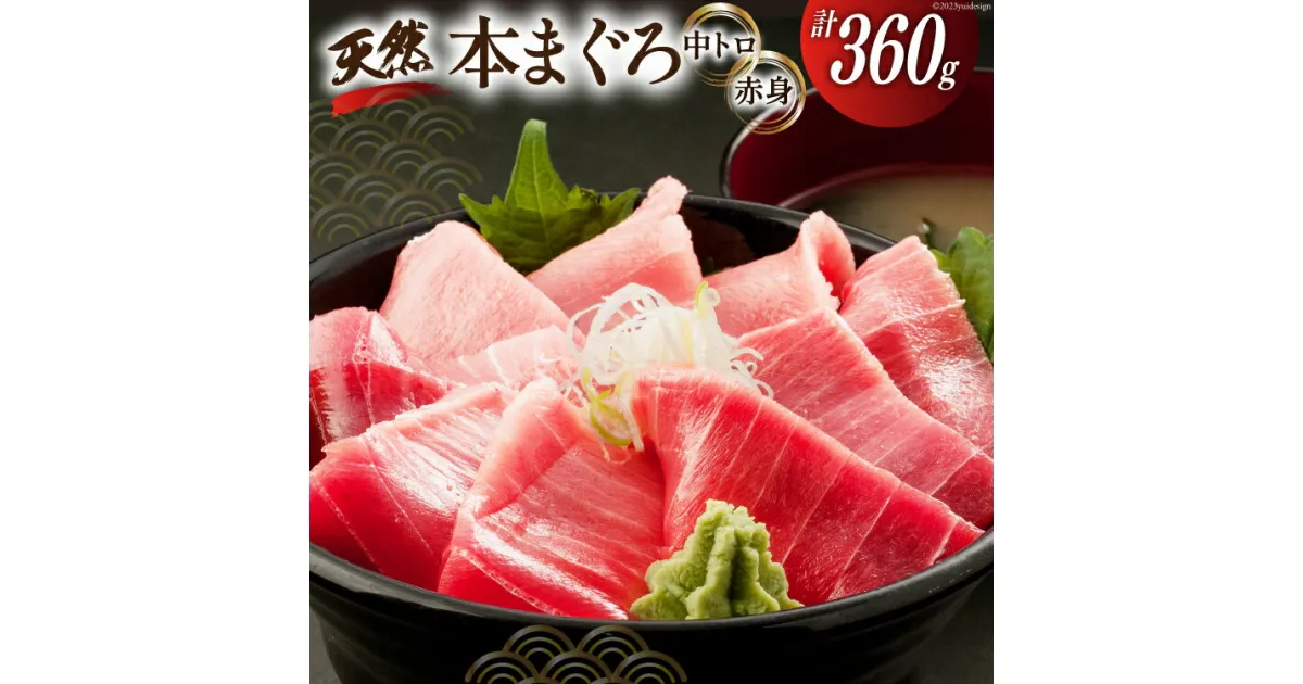 【ふるさと納税】昭福丸の天然本まぐろ (中トロ・赤身) 各180g 計360g [臼福本店 宮城県 気仙沼市 20563782] 魚 鮮魚 刺身 トロ 天然本マグロ マグロ まぐろ 鮪 本まぐろ 本マグロ 本鮪 冷凍 感想