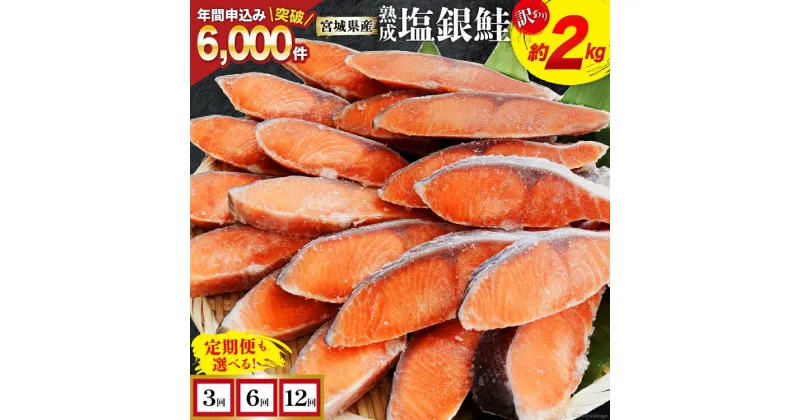 【ふるさと納税】訳あり 宮城県産 熟成 銀鮭 切身 約2kg【選べる定期便】 [宮城東洋 宮城県 気仙沼市 20562687] 鮭 海鮮 規格外 不揃い さけ サケ 鮭切身 シャケ 切り身 冷凍 家庭用 訳アリ おかず 弁当 支援 サーモン 定期便 レビューキャンペーン 感想