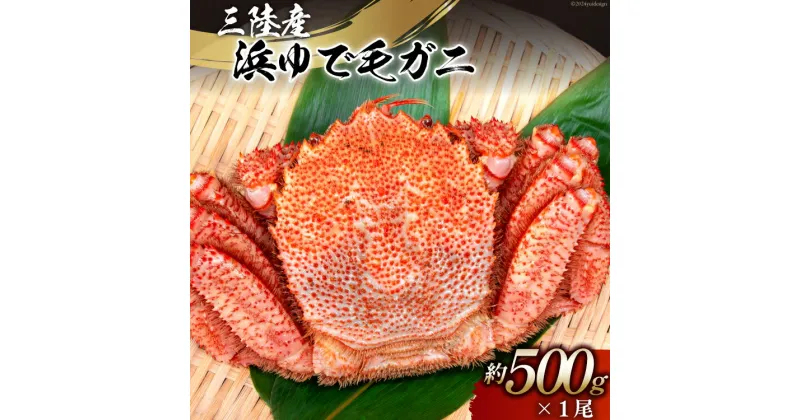 【ふるさと納税】【期間限定発送】かに 三陸産浜ゆで毛ガニ 約500g [村東商店 宮城県 気仙沼市 20564164] 魚介類 海鮮 三陸産 三陸 カニ 蟹 毛ガニ 毛がに 毛蟹 ボイル 浜茹で 浜ゆで ごちそう 冷蔵