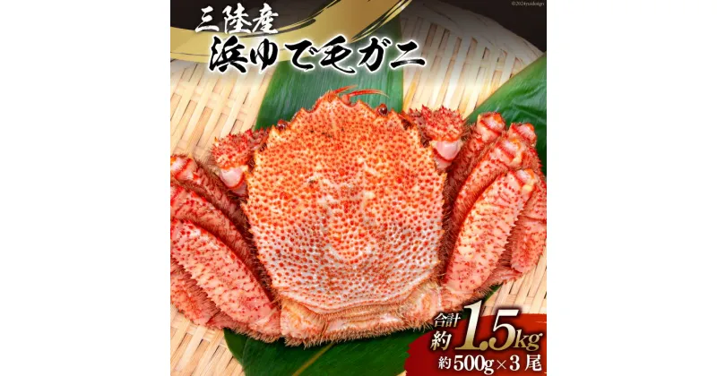 【ふるさと納税】【期間限定発送】かに 三陸産浜ゆで毛ガニ 約500g×3 計1.5kg [村東商店 宮城県 気仙沼市 20564163] 魚介類 海鮮 三陸産 三陸 カニ 蟹 毛ガニ 毛がに 毛蟹 ボイル 浜茹で 浜ゆで ごちそう 冷蔵