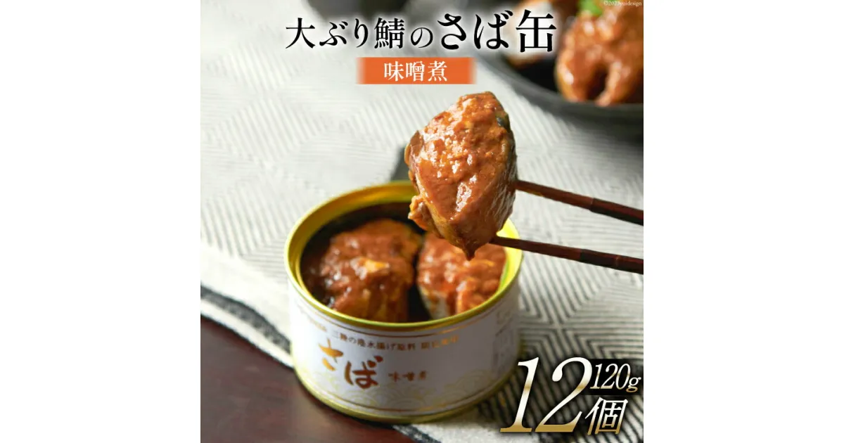 【ふるさと納税】大ぶり鯖のさば缶 12缶セット 味噌煮 [モンマルシェ 宮城県 気仙沼市 20564035] 保存食 さば缶 サバ 鯖 缶詰 缶詰め さば味噌煮 サバ味噌煮 簡単調理 三陸 感想