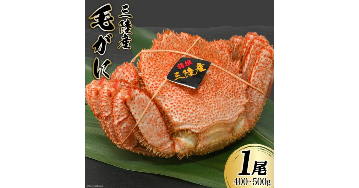 【ふるさと納税】三陸産 毛蟹 総重量400〜500g （正味重量 300〜400g）1尾 濃厚かに味噌 [かわむら家 宮城県 気仙沼市 20564379] 国産 かに カニ 蟹 毛ガニ 毛がに 毛蟹 ボイル 冷凍 海鮮 海産物 魚介 感想