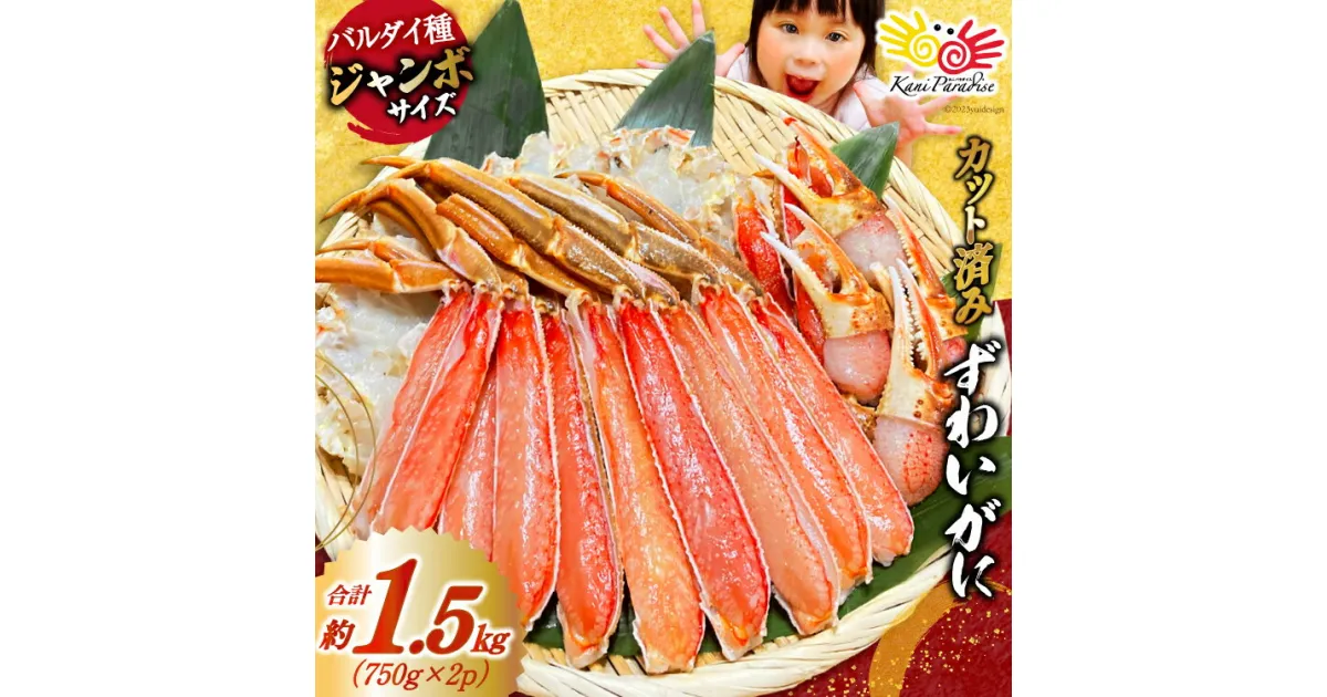 【ふるさと納税】カット済 ずわいがに むき身セット 総重量1.5kg(750g×2p) かにしゃぶ かに鍋 正味重量1.2kg [カネダイ 宮城県 気仙沼市 20564319] かに カニ ずわいがに ずわい 蟹 棒 魚介 海鮮 ポーション 感想