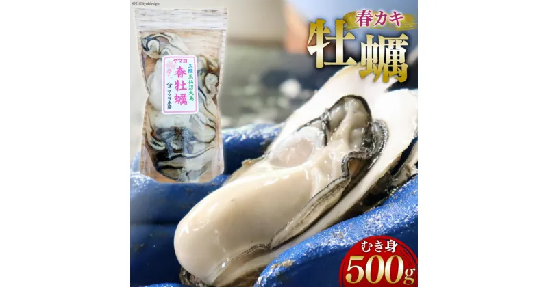 【ふるさと納税】牡蠣 生食用 むき身 500g 《5月前半～出荷》 [気仙沼市物産振興協会 宮城県 気仙沼市 20564127] 春 かき 期間限定 冷蔵 ヤマヨ水産