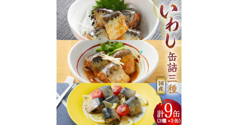 【ふるさと納税】いわし 缶詰 食べ比べ セット 170g×9缶 (3種×3) [気仙沼市物産振興協会 宮城県 気仙沼市 20563317] いわし醤油煮 いわし味噌煮 いわしバジルソース 長期保存 非常食 備蓄 防災 感想