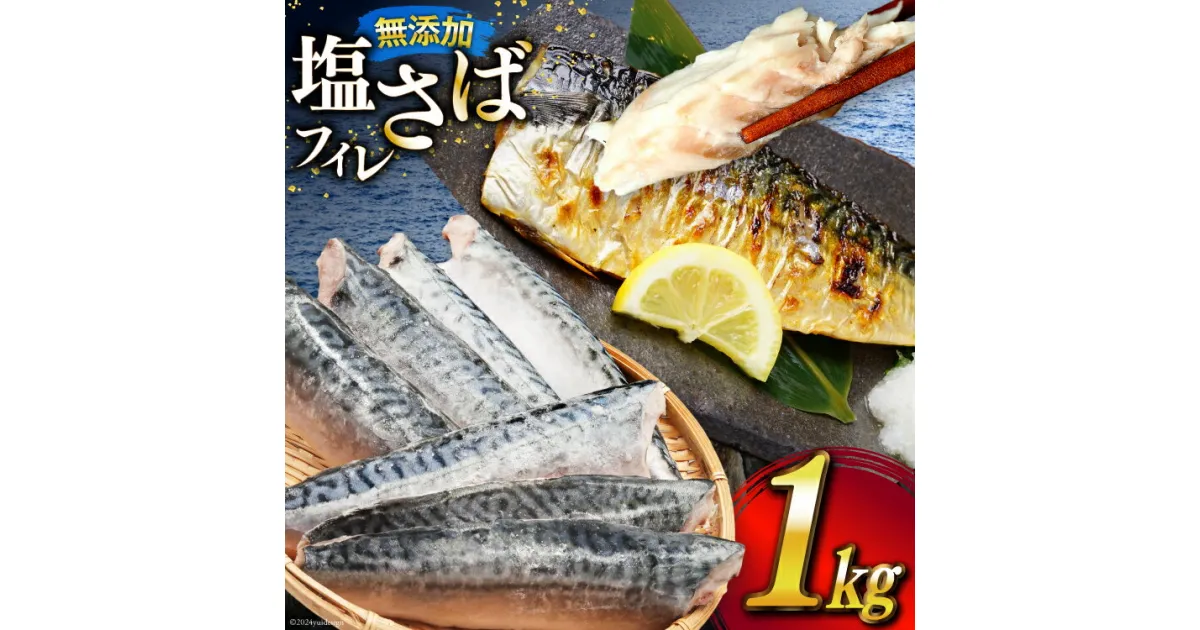 【ふるさと納税】サバ フィレ 切り身 1kg 無添加 鯖 さば [かわむら家 宮城県 気仙沼市 20564569] 魚 魚介類 魚介 切り身 冷凍 便利 弁当 おかず 惣菜