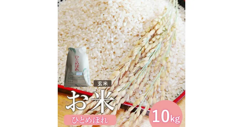 【ふるさと納税】『令和6年産』宮城県白石産 ひとめぼれ玄米 10kg 10キロ 10キロ 10kg お米 米 定期 ひとめぼれ 玄米 宮城米 ふるさと納税 宮城県 白石市 白石【1215101】