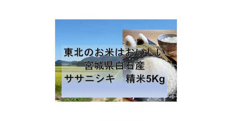 【ふるさと納税】『令和6年産』 宮城県白石産 ササニシキ精米 5kg 5キロ 5キロ 5kg お米 米 ササニシキ 白米 精米 宮城米 ふるさと納税 宮城県 白石市 白石【1215501】