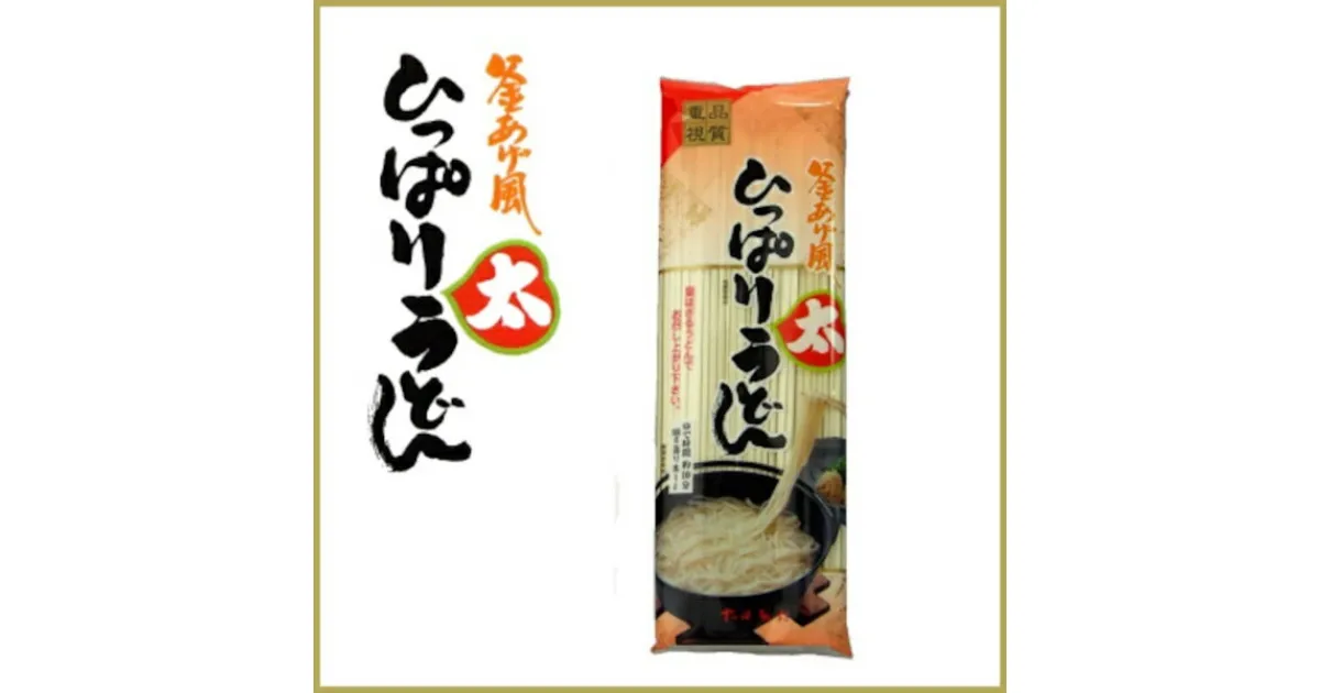 【ふるさと納税】ひっぱり太うどん　260g　10袋入【41155】