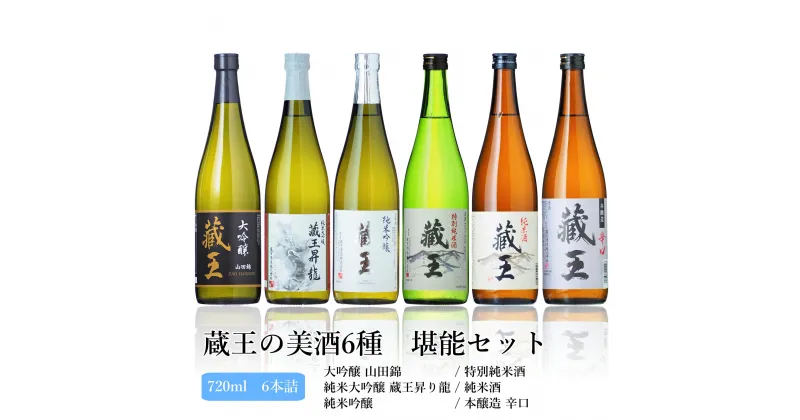 【ふるさと納税】 日本酒 セット 蔵王 6種 大吟醸 純米大吟醸 藏王昇り龍 純米吟醸 特別純米酒 純米酒 本醸造辛口 720ml 6本 飲み比べ 酒 地酒 日本酒 ギフト プレゼント お歳暮 お取り寄せ ふるさと納税 宮城県 白石市 【02152】