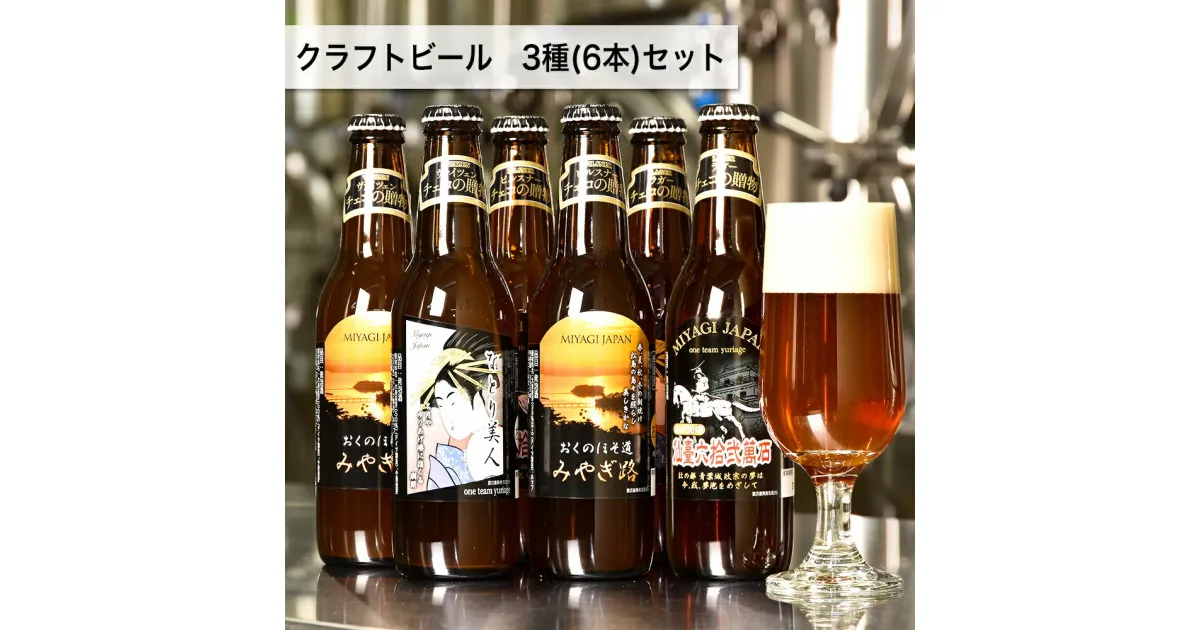 【ふるさと納税】クラフトビール　3種計6本セット（ヴァイツェン ピルスナー デュンケル（ラガー）　各2本計6本）