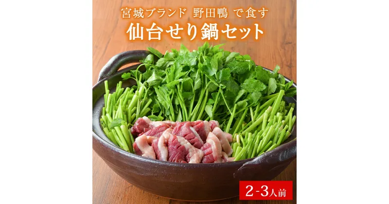 【ふるさと納税】宮城ブランド 野田鴨 で食す　仙台せり鍋 セット 2、3名盛り