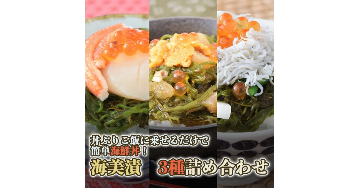 【ふるさと納税】丼ぶりご飯に乗せるだけで 簡単 海鮮丼! 海美漬 3種 詰合せ ふるさと納税 魚 惣菜