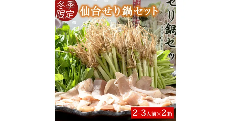 【ふるさと納税】 【お届け日時指定必須】漁亭 浜や 名取名産　美味なる根っこを食す「せり鍋セット」2～3人前×2箱セット