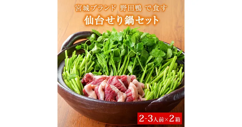 【ふるさと納税】 【お届け日時指定必須】漁亭 浜や 宮城ブランド野田鴨で食す仙台せり鍋セット2～3名盛り×2箱セット