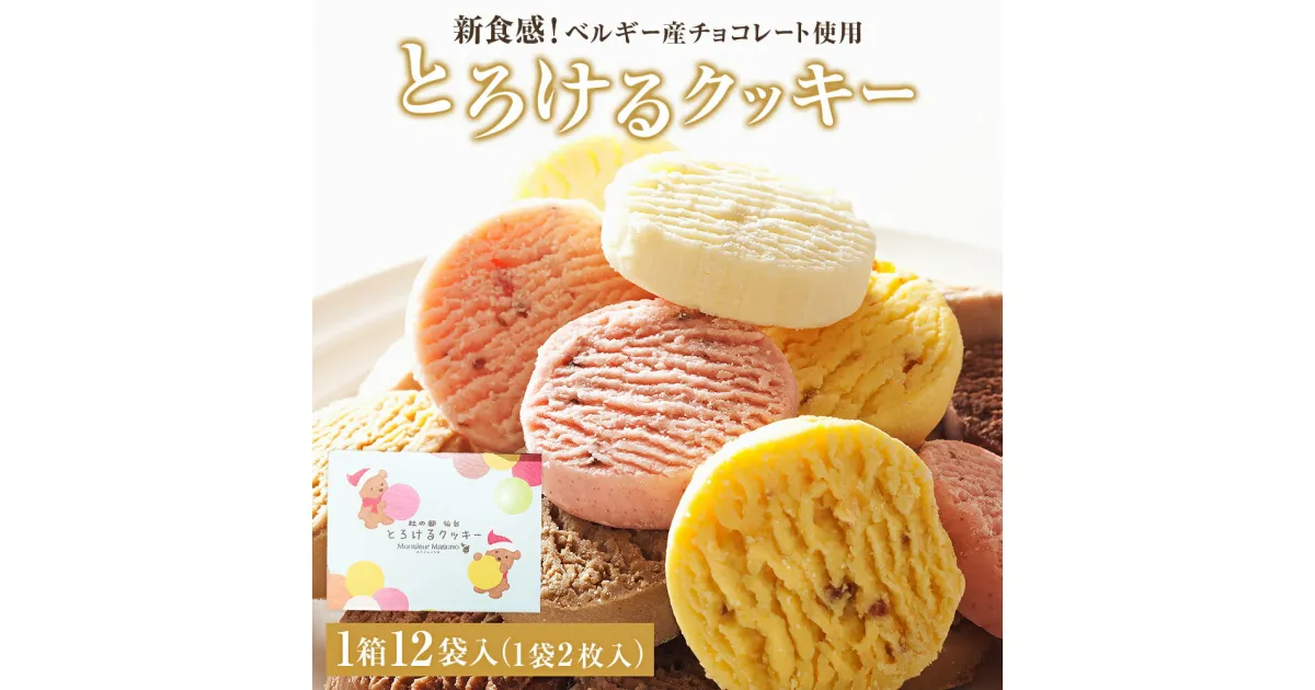 【ふるさと納税】 アルパジョン 新食感！ とろけるクッキー 12袋入 ベルギー産チョコレート 使用 フレーバー 12種 アルパジョン