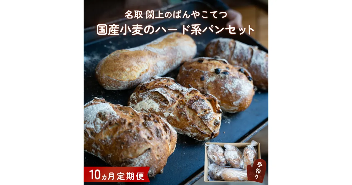 【ふるさと納税】【10ヵ月定期便】名取 閖上 の ぱんやこてつ 手作り 国産小麦のハード系パンセット