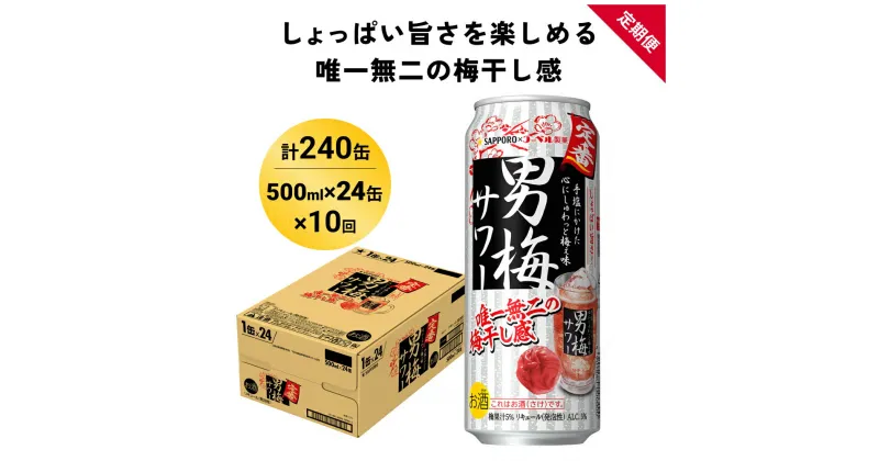 【ふるさと納税】サッポロ 男梅 サワー 500ml×24缶(1ケース)×定期便10回(合計240缶) 缶 チューハイ 酎ハイ サワー 箱 宮城県名取市 お酒