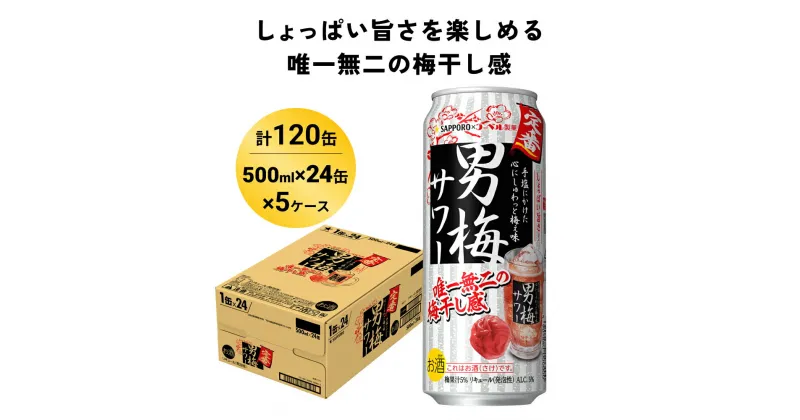 【ふるさと納税】サッポロ 男梅 サワー 500ml×120缶(5ケース分)同時お届け 缶 チューハイ 酎ハイ サワー 箱 宮城県名取市 お酒