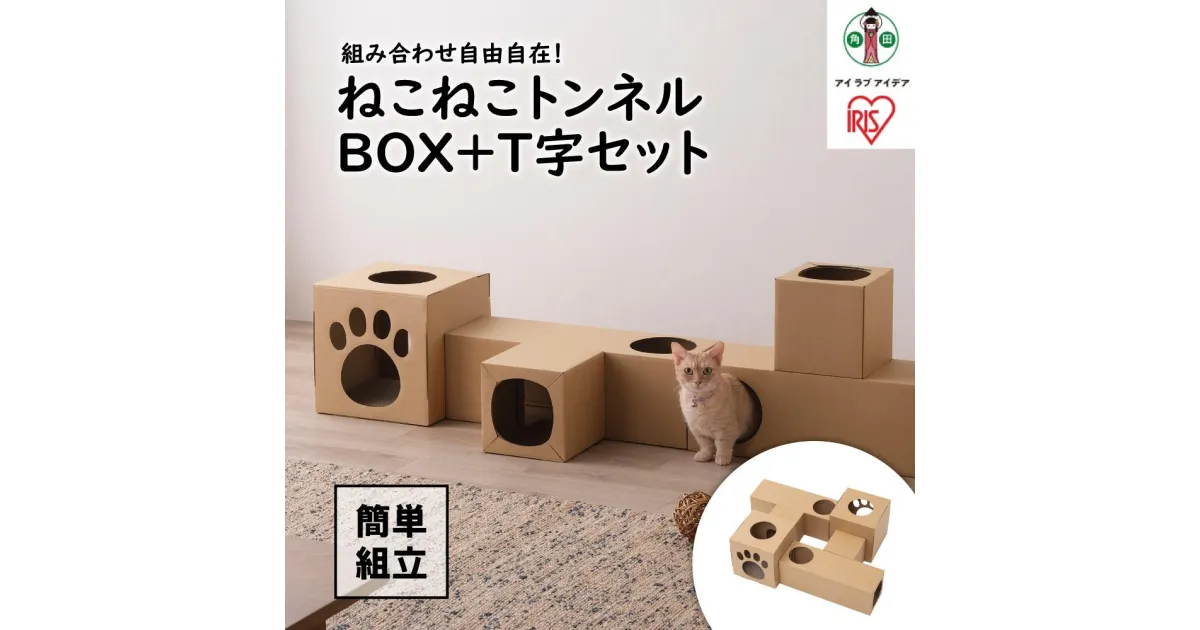 【ふるさと納税】ねこねこトンネル　BOX＋T字セット P-NTBT | 犬 猫 ペット用品 人気 おすすめ アイリスオーヤマ なるほど 宮城県 角田市