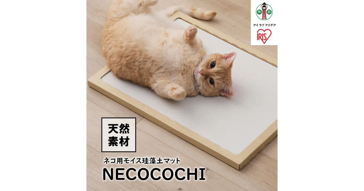 【ふるさと納税】NECOCOCHI　NCC-45ナチュラル | 犬 猫 ペット用品 人気 おすすめ