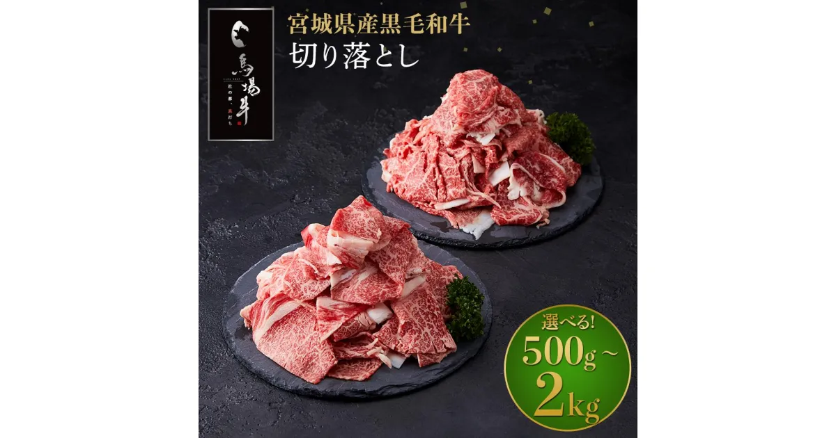 【ふるさと納税】＼小分けで使いやすい／ 牛肉 切り落とし 容量が選べる 500g 〜 2kg | 馬場牛 黒毛和牛 お肉 肉 牛 料理 すき焼き しゃぶしゃぶ 炒め物 牛丼 肉じゃが おすすめ 切落とし 切り落し 国産肉 冷凍 人気 ご当地 お取り寄せ グルメ 送料無料