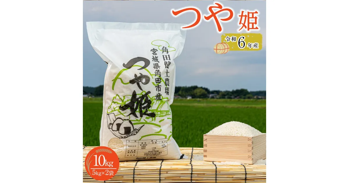 【ふるさと納税】令和6年産　つや姫　10kg（5kg×2袋）【2024年10月下旬より順次発送】 | お米 こめ 白米 食品 人気 おすすめ 送料無料