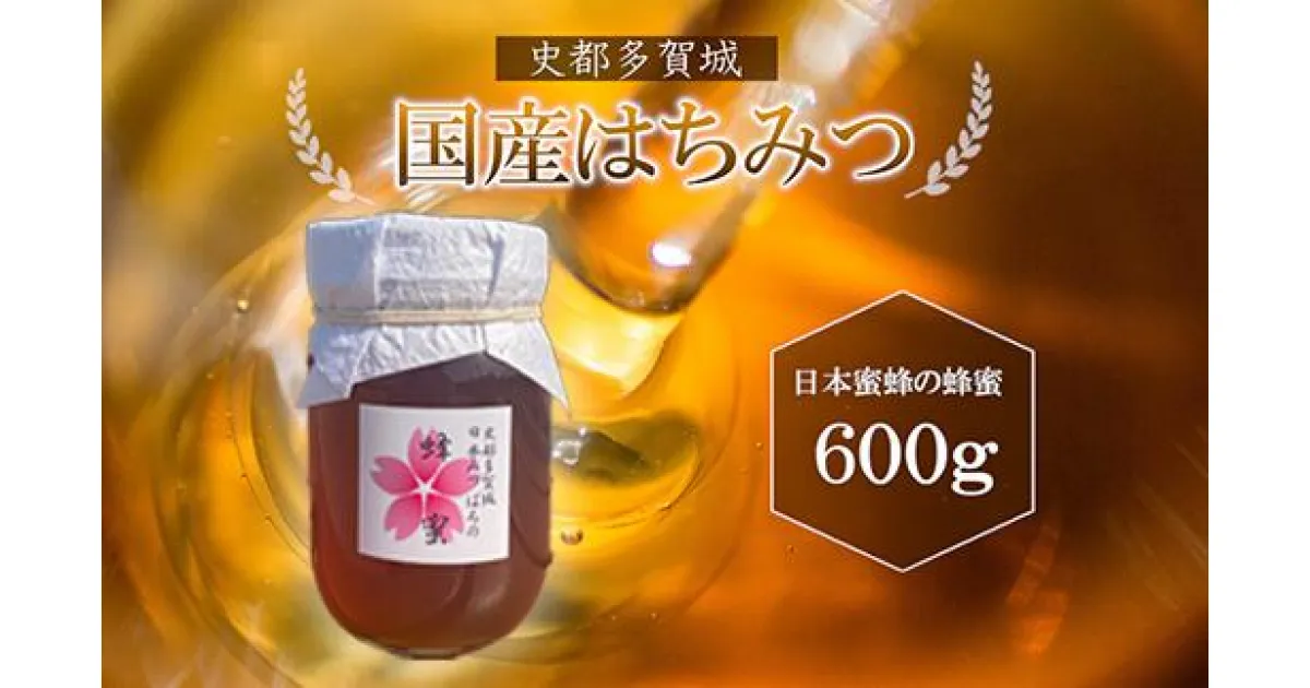 【ふるさと納税】史都多賀城日本みつばちの蜂蜜600g　【04209-0170】