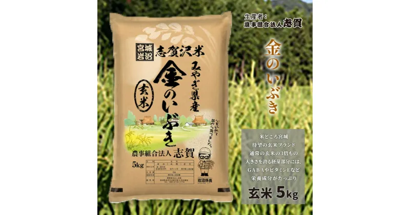 【ふるさと納税】金のいぶき　玄米5kg　お米・宮城県産　お届け：2024年9月下旬以降発送開始