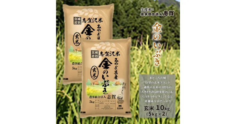 【ふるさと納税】金のいぶき　玄米10kg（5kg×2）　お米・宮城県産　お届け：2024年9月下旬以降発送開始