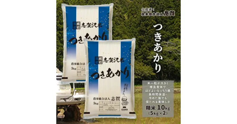 【ふるさと納税】つきあかり　精米10kg（5kg×2）　お米・宮城県産