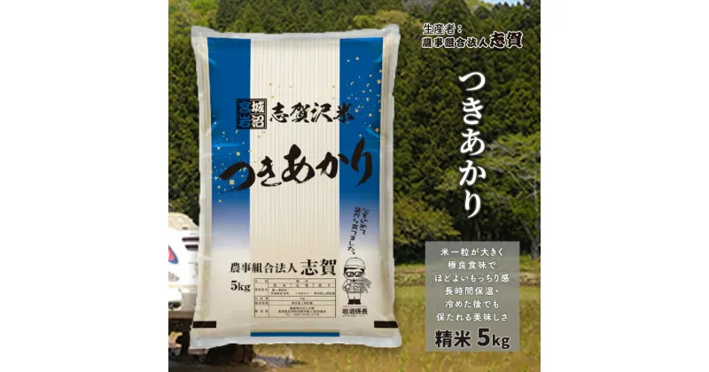 【ふるさと納税】つきあかり　精米5kg　お米・宮城県産