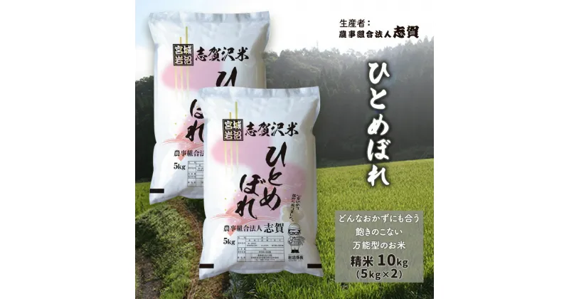 【ふるさと納税】ひとめぼれ　精米10kg（5kg×2）　お米・ひとめぼれ・宮城県産