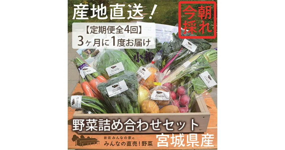 【ふるさと納税】【定期便全4回】3ヶ月に1度お届け！岩沼みんなの家の「みんなの直売！野菜」セット詰め合わせ隔月4回　定期便・野菜・セット・詰合せ